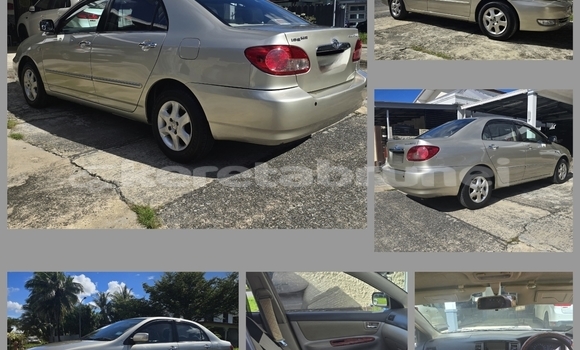 Buy Used Toyota Altis Other Car in Kuala Belait in Belait Buy Used Toyota Altis Other Car in Kuala Belait in Belait