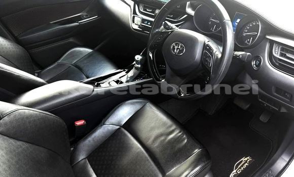 Buy Used Toyota C-HR White Car in Bandar Seri Begawan in Brunei-Muara Buy Used Toyota C-HR White Car in Bandar Seri Begawan in Brunei-Muara