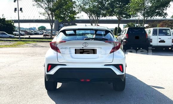 Buy Used Toyota C-HR White Car in Bandar Seri Begawan in Brunei-Muara Buy Used Toyota C-HR White Car in Bandar Seri Begawan in Brunei-Muara