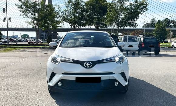 Buy Used Toyota C-HR White Car in Bandar Seri Begawan in Brunei-Muara Buy Used Toyota C-HR White Car in Bandar Seri Begawan in Brunei-Muara