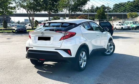 Buy Used Toyota C-HR White Car in Bandar Seri Begawan in Brunei-Muara Buy Used Toyota C-HR White Car in Bandar Seri Begawan in Brunei-Muara