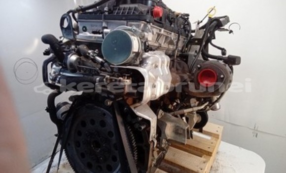 Buy Ford Ranger 3.2L Engine in Bandar Seri Begawan in Brunei-Muara Buy Ford Ranger 3.2L Engine in Bandar Seri Begawan in Brunei-Muara