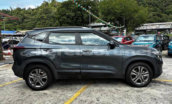 Buy Used Kia Sedona Other Car in Bandar Seri Begawan in Brunei-Muara Buy Used Kia Sedona Other Car in Bandar Seri Begawan in Brunei-Muara