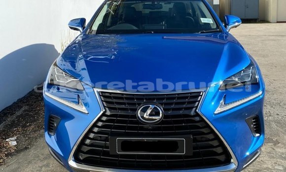 Buy Used Lexus NX Blue Car in Bandar Seri Begawan in Brunei-Muara