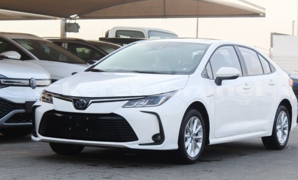 Buy Used Toyota Corolla White Car in Bandar Seri Begawan in Brunei-Muara