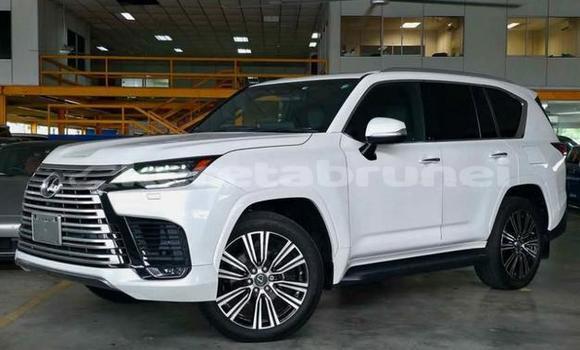 Buy Used Lexus LX White Car in Bandar Seri Begawan in Brunei-Muara