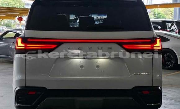 Buy Used Lexus LX White Car in Bandar Seri Begawan in Brunei-Muara Buy Used Lexus LX White Car in Bandar Seri Begawan in Brunei-Muara