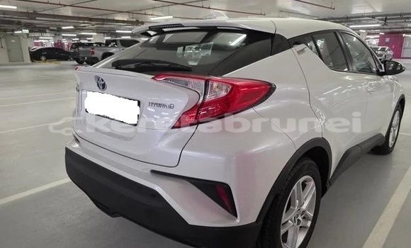 Buy Used Toyota C-HR White Car in Bandar Seri Begawan in Brunei-Muara Buy Used Toyota C-HR White Car in Bandar Seri Begawan in Brunei-Muara