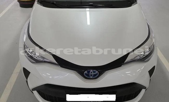 Buy Used Toyota C-HR White Car in Bandar Seri Begawan in Brunei-Muara Buy Used Toyota C-HR White Car in Bandar Seri Begawan in Brunei-Muara