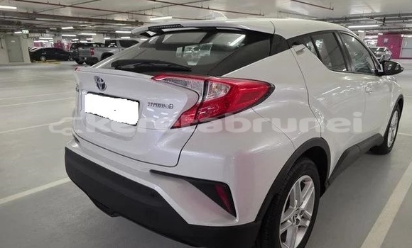 Buy Used Toyota C-HR White Car in Bandar Seri Begawan in Brunei-Muara Buy Used Toyota C-HR White Car in Bandar Seri Begawan in Brunei-Muara