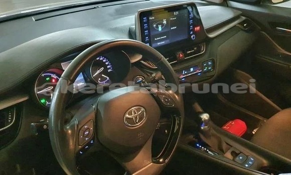 Buy Used Toyota C-HR White Car in Bandar Seri Begawan in Brunei-Muara Buy Used Toyota C-HR White Car in Bandar Seri Begawan in Brunei-Muara