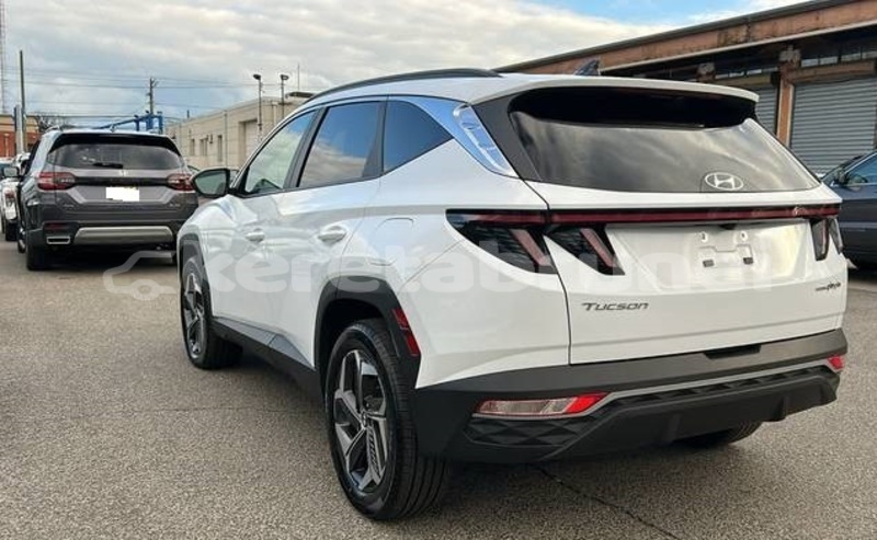 Big with watermark hyundai tucson brunei muara bandar seri begawan 7718