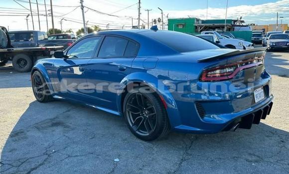 Buy Used Dodge Charger Blue Car in Bangar in Temburong Buy Used Dodge Charger Blue Car in Bangar in Temburong