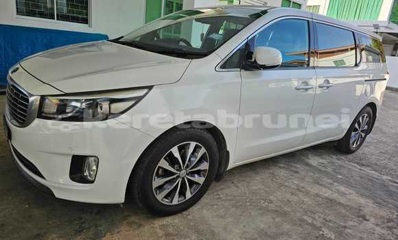 Buy Used Kia Carnival White Car in Bandar Seri Begawan in Brunei-Muara Buy Used Kia Carnival White Car in Bandar Seri Begawan in Brunei-Muara