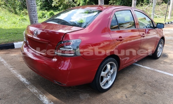 Buy Used Toyota Vios Red Car in Bandar Seri Begawan in Brunei-Muara Buy Used Toyota Vios Red Car in Bandar Seri Begawan in Brunei-Muara