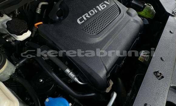 Buy Used Kia Carnival Black Car in Bandar Seri Begawan in Brunei-Muara Buy Used Kia Carnival Black Car in Bandar Seri Begawan in Brunei-Muara