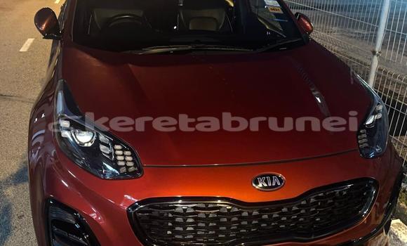 Buy Used Kia Sportage Red Car in Bandar Seri Begawan in Brunei-Muara Buy Used Kia Sportage Red Car in Bandar Seri Begawan in Brunei-Muara
