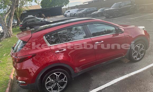 Buy Used Kia Sportage Red Car in Bandar Seri Begawan in Brunei-Muara Buy Used Kia Sportage Red Car in Bandar Seri Begawan in Brunei-Muara