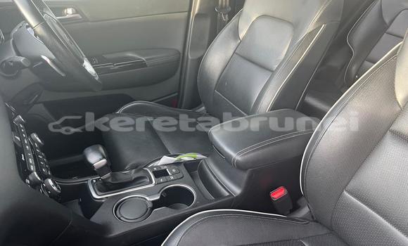 Buy Used Kia Sportage Red Car in Bandar Seri Begawan in Brunei-Muara Buy Used Kia Sportage Red Car in Bandar Seri Begawan in Brunei-Muara