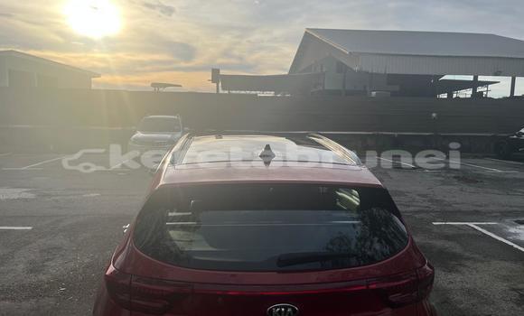 Buy Used Kia Sportage Red Car in Bandar Seri Begawan in Brunei-Muara Buy Used Kia Sportage Red Car in Bandar Seri Begawan in Brunei-Muara