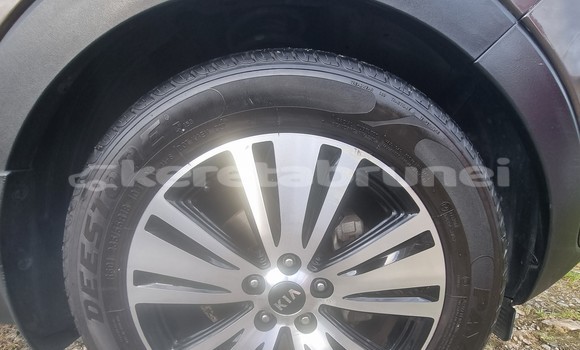 Buy Used Kia Sportage Brown Car in Bandar Seri Begawan in Brunei-Muara Buy Used Kia Sportage Brown Car in Bandar Seri Begawan in Brunei-Muara