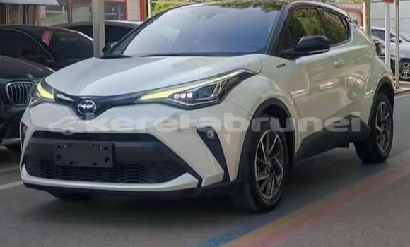 Buy Used Toyota C-HR White Car in Bandar Seri Begawan in Brunei-Muara