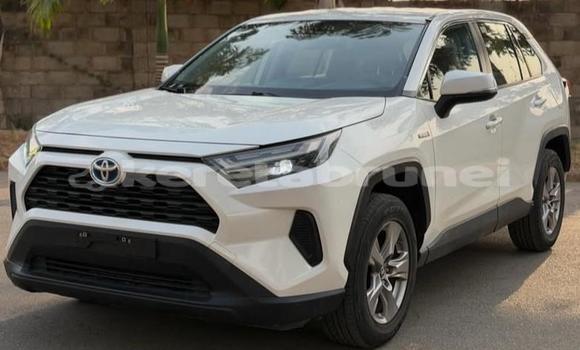 Buy Used Toyota RAV4 White Car in Bandar Seri Begawan in Brunei-Muara Buy Used Toyota RAV4 White Car in Bandar Seri Begawan in Brunei-Muara