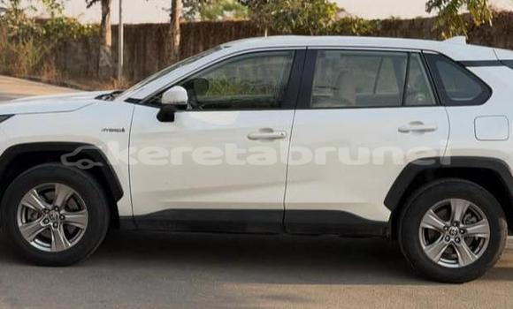 Buy Used Toyota RAV4 White Car in Bandar Seri Begawan in Brunei-Muara Buy Used Toyota RAV4 White Car in Bandar Seri Begawan in Brunei-Muara