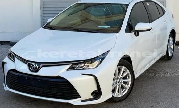 Buy Used Toyota Corolla White Car in Bandar Seri Begawan in Brunei-Muara