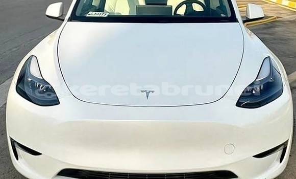 Buy Used Tesla Model X White Car in Bandar Seri Begawan in Brunei-Muara