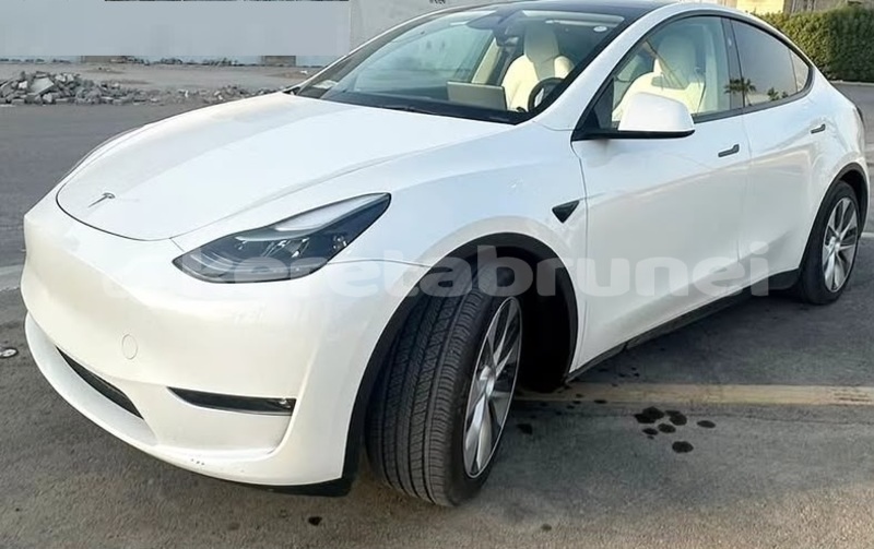 Big with watermark tesla model x brunei muara bandar seri begawan 8033