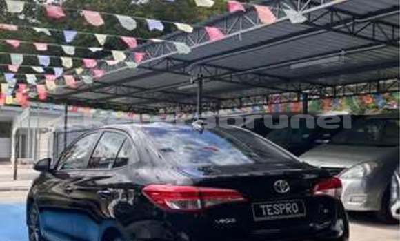 Buy Used Toyota Vios Other Car in Bandar Seri Begawan in Brunei-Muara