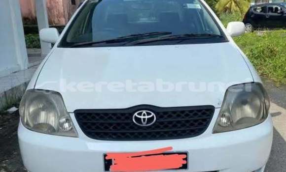 Buy Used Toyota Corolla Other Car in Bandar Seri Begawan in Brunei-Muara