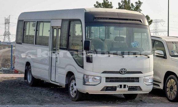 Buy Import Toyota Coaster White Car in Import - Dubai in Belait Buy Import Toyota Coaster White Car in Import - Dubai in Belait