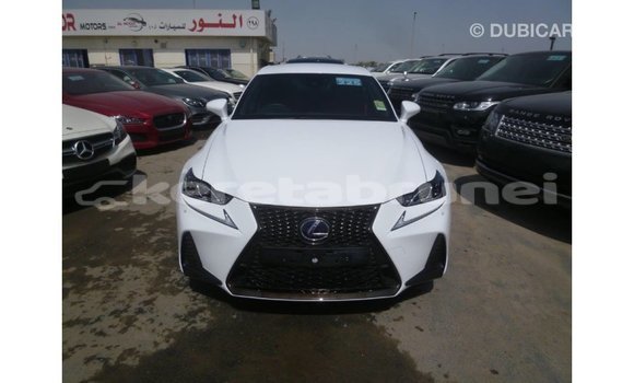 Buy Import Lexus IS White Car in Import - Dubai in Belait Buy Import Lexus IS White Car in Import - Dubai in Belait