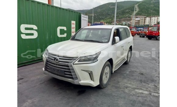 Buy Import Lexus LX White Car in Import - Dubai in Belait Buy Import Lexus LX White Car in Import - Dubai in Belait