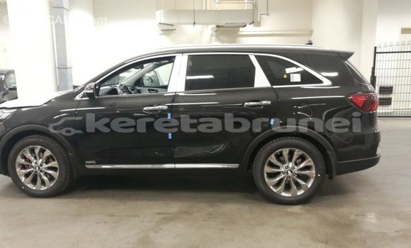 Buy Import Kia Sorento Brown Car in Import - Dubai in Belait Buy Import Kia Sorento Brown Car in Import - Dubai in Belait