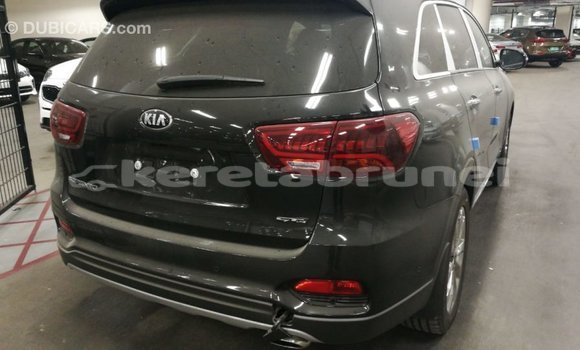 Buy Import Kia Sorento Brown Car in Import - Dubai in Belait Buy Import Kia Sorento Brown Car in Import - Dubai in Belait