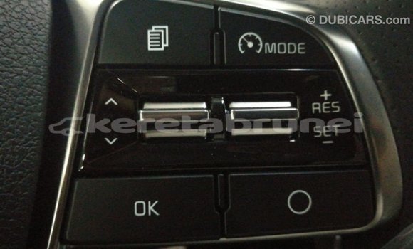 Buy Import Kia Sorento Brown Car in Import - Dubai in Belait Buy Import Kia Sorento Brown Car in Import - Dubai in Belait