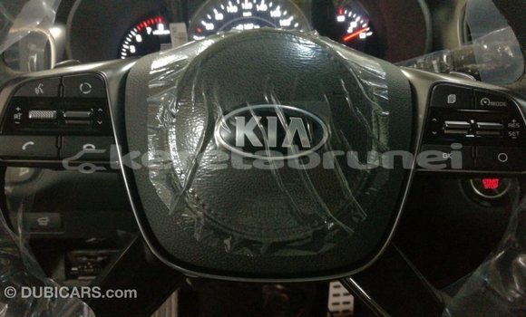 Buy Import Kia Sorento Brown Car in Import - Dubai in Belait Buy Import Kia Sorento Brown Car in Import - Dubai in Belait