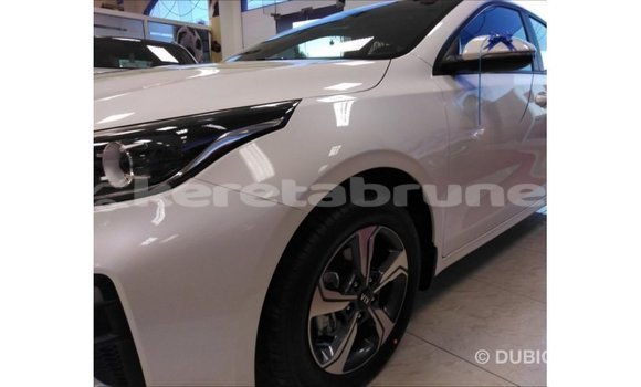 Buy Import Kia Cerato White Car in Import - Dubai in Belait Buy Import Kia Cerato White Car in Import - Dubai in Belait