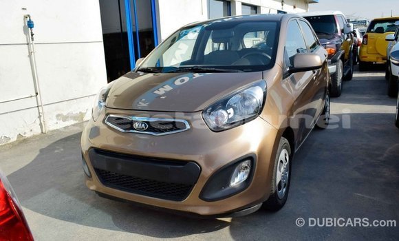 Buy Import Kia Picanto Brown Car in Import - Dubai in Belait Buy Import Kia Picanto Brown Car in Import - Dubai in Belait