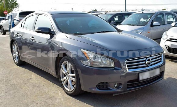 Buy Import Nissan Maxima Other Car in Import - Dubai in Belait Buy Import Nissan Maxima Other Car in Import - Dubai in Belait