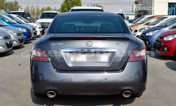Buy Import Nissan Maxima Other Car in Import - Dubai in Belait Buy Import Nissan Maxima Other Car in Import - Dubai in Belait