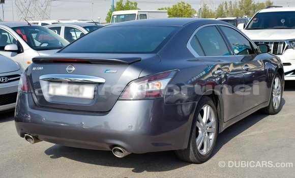 Buy Import Nissan Maxima Other Car in Import - Dubai in Belait Buy Import Nissan Maxima Other Car in Import - Dubai in Belait