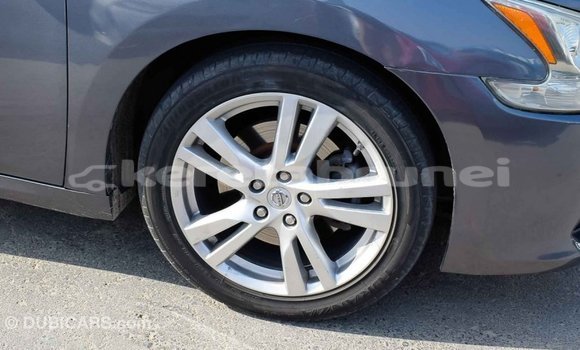 Buy Import Nissan Maxima Other Car in Import - Dubai in Belait Buy Import Nissan Maxima Other Car in Import - Dubai in Belait