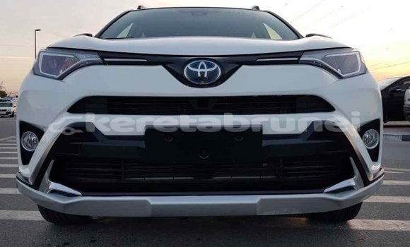 Buy Import Toyota RAV4 White Car in Import - Dubai in Belait Buy Import Toyota RAV4 White Car in Import - Dubai in Belait